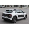 CITROEN C4 CACTUS- 14/17; ARAÇ BİLGİLERİ VE RESİMLERİ