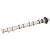 EKSANTRIK MILI EGZOS (ÇELIK) FOCUS/307/308PARTNER 1.6 HDI/TDCI 03-