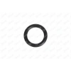 EMME MANIFOLD ORINGI (PAKET IÇERIGI 4 ADET) 207/307/407/PARTNER/FOCUS 1.6 HDI-TDCI 03-