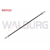 FREN BORUSU ARKA SOL (REGULATOR LASTIK ARASI) 60 cm TEMPRA-TIPO