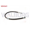 FREN HORTUMU ON SOL-SAG 490mm CITROEN C1 II (PA_, PS_) 2014-