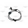 HARARET MÜSÜRÜ TRANSIT V-362 V-363 2.0 D PANTHER 17-