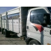 HYUNDAI HD 72-77 KAMYONET- 00/02; ARAÇ BİLGİLERİ VE RESİMLERİ