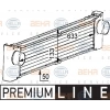 KLIMA VALFI X5 E70-X6 E71 BM 07-