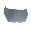 MOTOR KAPUTU FIESTA BM 08-