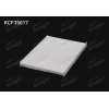 POLEN FILTRE POSETLI RENAULT KALEOS BM 08-