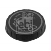 RADYATÖR YEDEK SU DEPO KAPAGI MINI R50-R52 BM 01-07