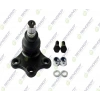 ROTIL ALT 208/2008/301/C3 B.M 2012-