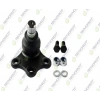 ROTIL ALT 208/2008/301/C3 B.M 2012-