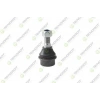ROTIL ON ALT IVECO DAILY III 1999-2006