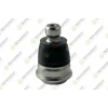 ROTIL ON NISSAN MICRA IV 2010- / NISSAN VERSA NOTE 2013-