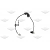 SENSÖR ABS YD25 NP300 11-13 ARKA RH