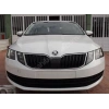 SKODA OCTAVIA- 17/19; ARAÇ BİLGİLERİ VE RESİMLERİ