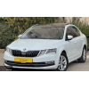 SKODA OCTAVIA- 17/19; ARAÇ BİLGİLERİ VE RESİMLERİ