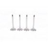 SUBAP VALFI EMME (36x7x89,5mm) 4LU SET VW CADDY (2KA) 04-10/GOLF (1J1)-(1K1) 00-08/ JETTA (1K2) 05-10/ PASSAT (3B3)/ Y5 (7HA)/ AUDI A4 (8E2) 04-08 1.9 TDI-2.0 TDI (BDJ-BDK-BKC-BSU-BXJ-BXF)