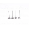 SUBAP VALFI EMME (38x7x101,1mm) 4LU SET OPEL ASCONA C/ ASTRA F-G/ CORSA A/ KADETT E/ MERIVA A/ VECTRA A-B 1.6 (16LZ2-16NZR-16SV-C16LZ-C16LZ2-C16NZ-C16SE-E16NZ-E16SE-X16SZ-X16SZR-Z16SE)