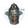 TERMOSTAT (82°C) FOCUS/FIESTA 1,25-1,4-1,6 BENZ 95-04
