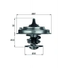 TERMOSTAT 87? M611/M612/M646/M647