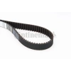 TRİGER EKSANTRİK KAYIŞI 141×254 141 DİŞ CADDY 1.9 SDI POLO GOLF IV BORA 1.9 TD 5543XS C