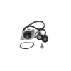 TRIGER TK+DEVIRDAIM 307-308-407-607-C4-C5 2.0hdi 135hp *116DIS*