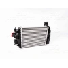 TURBO RADYATORU (INTERCOOLER) 255X217X50 RENAULT CAPTUR 2 1.0 TCE 20> / CLIO 5 1.0 TCE 19>
