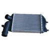 TURBO RADYATORU (INTERCOOLER) FIAT DUCATO (230) 2.5 TDI 1994-2002