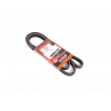 V KAYIS (KANALLI KAYIS) (5PK1720) MERCEDES-BENZ BENZ A SERISI A160 A170 CDI 00 >