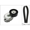 V KAYIS SETI [5XPK 1123] VOLVO S60/S80/V60/V70/XC60 BM 06-