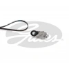 V KAYIS SETI 6PK975/AV6Q 6C301 DA FOCUS/C-MAX/C2/C3/C4 1.6 TDCI/HDI 04-12