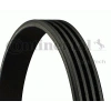 V KAYISI 4PK1215 A4-A6-A8 AYM-AKE-BAU 2,5 TDI 01-08