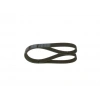V KAYISI 7PK1122 SCENIC BM 00-