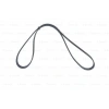 V KAYISI 98 CLIO-MGN-LGN.1.2-LOG-SDR-SLZ 1.4-1.6 5PK1750