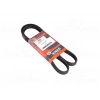 V KAYISI OPEL VECTRA C 1.6 1.8 02 >