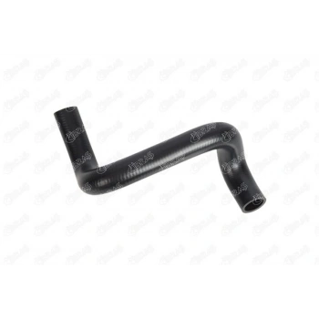 RADYATOR HORTUMU ALT FOCUS I 1.6 ZETEC 98-05 19901