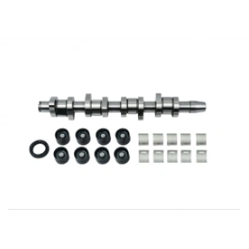 EKSANTRİK MİLİ TAMİR SETİ (ÇELİK) PASSAT-CADDY-T5-A3 AXB-BJB-BXE-AVF 1,9 TDİ BOR B18664