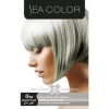 Sea Color Saç Boyası Gümüş Gri 0/02