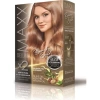 Maxx Deluxe Saç Boyası Set Altın Karamel 8/73