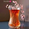 İnce Belli Rain Çay Bardağı -6 Adet