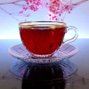 Paşabahçe Lizbon Kesme Dekor Çay ve Nescafe Fincanı-6 Kişilik