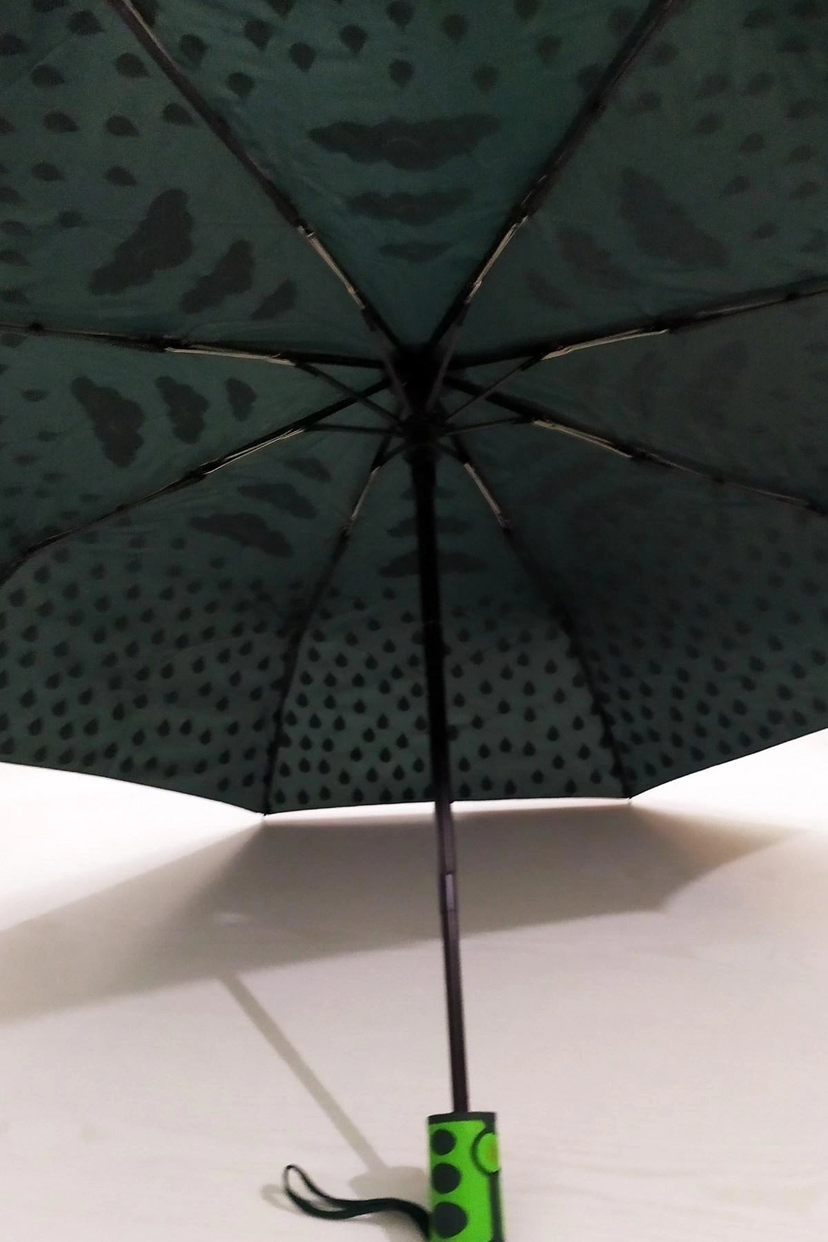 Renk Değiştiren Şemsiye