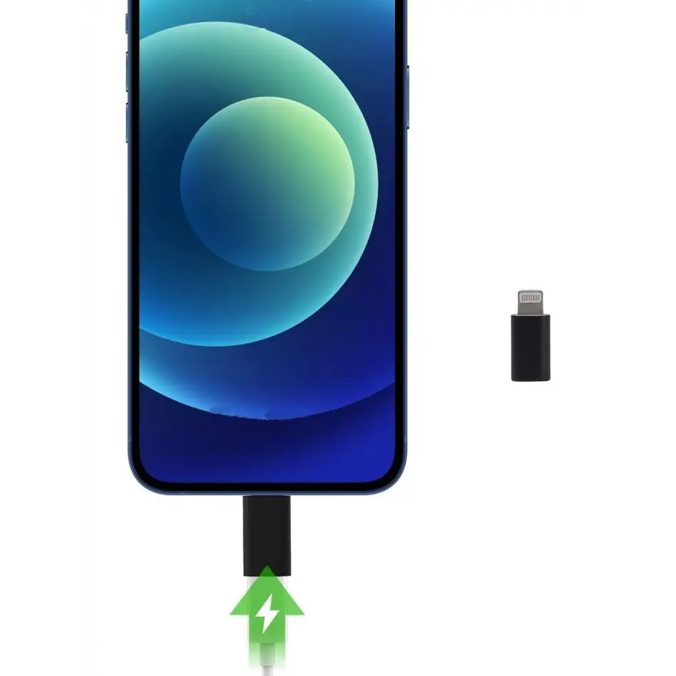 Daytona L To Usbc Lightning =>usb Tip-c