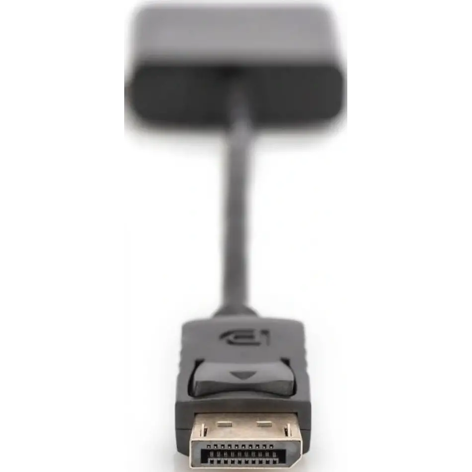 Dıgıtus Ak-340409-001-s Dısplayport=>dvı Çevirici