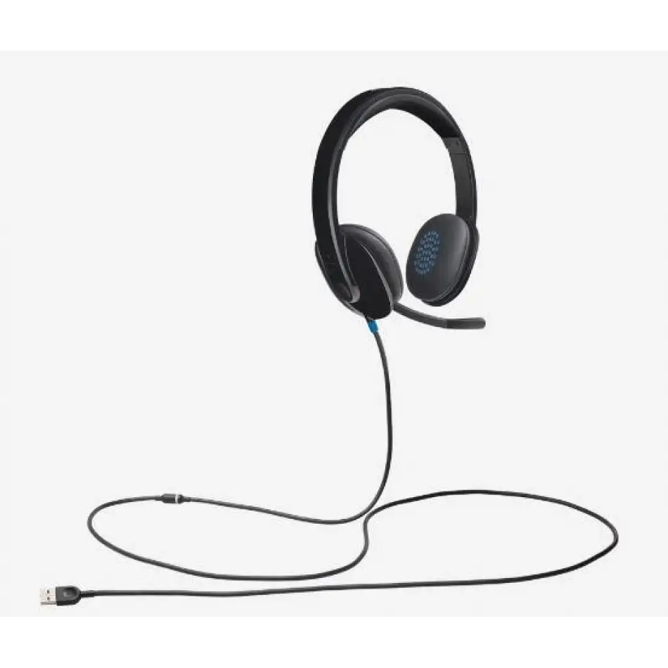 Logıtech H540 Usb Siyah Kulaklık 981-000480