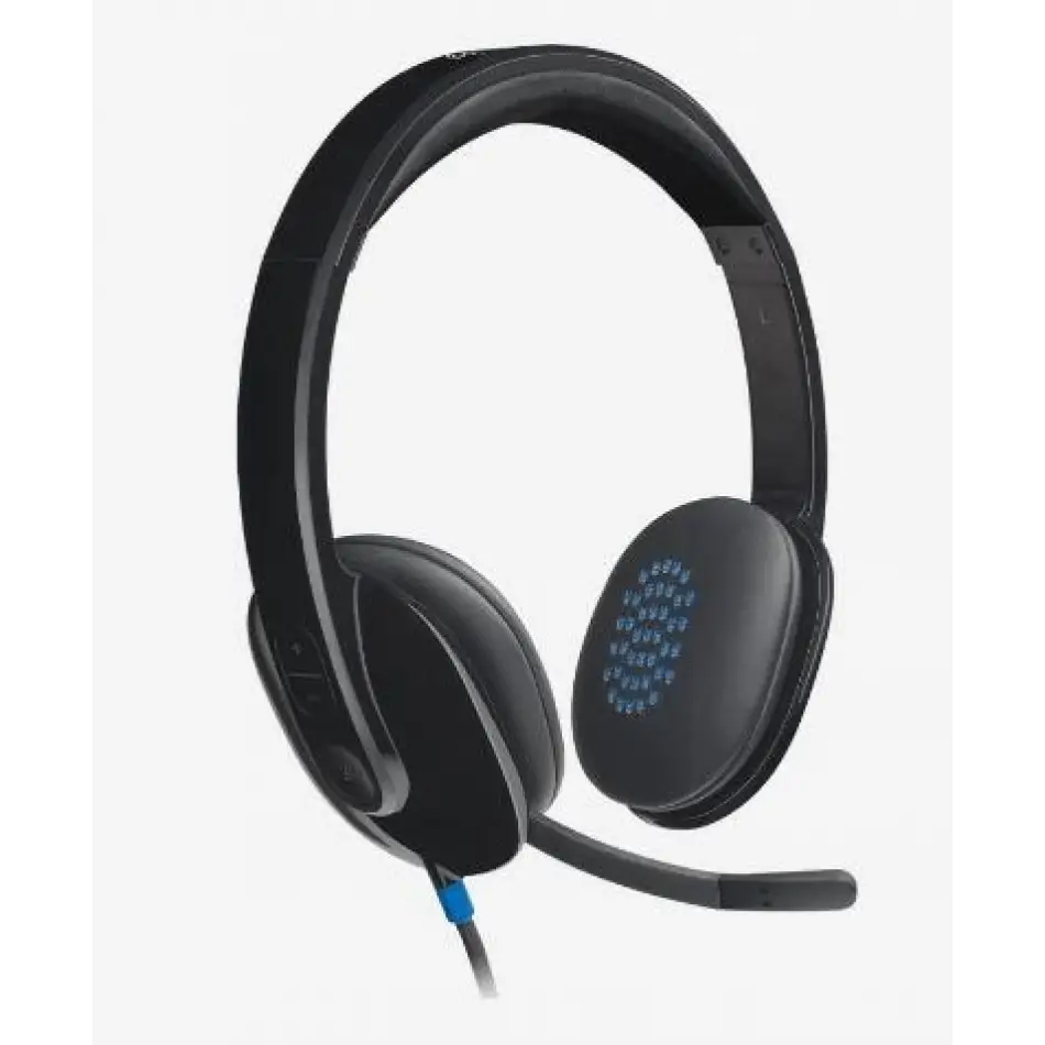 Logıtech H540 Usb Siyah Kulaklık 981-000480