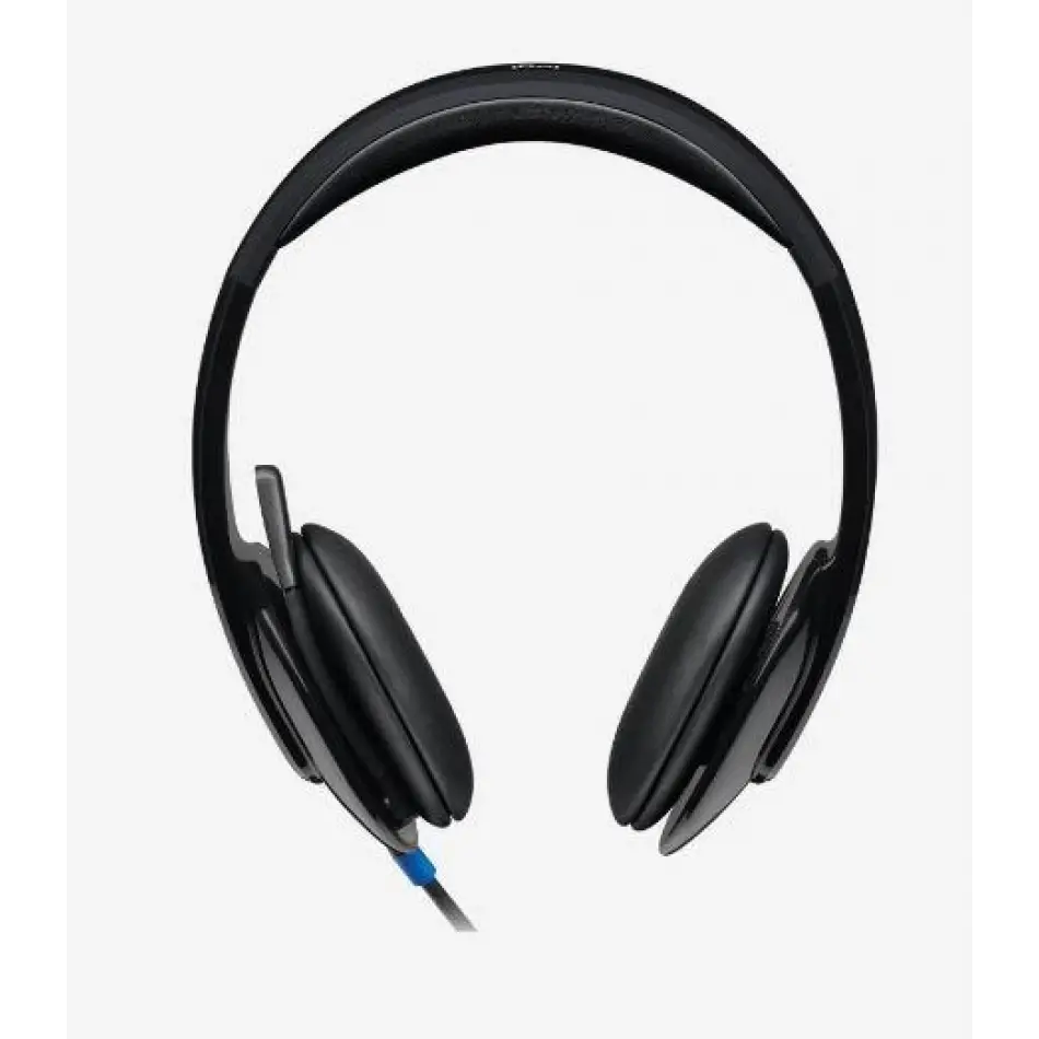 Logıtech H540 Usb Siyah Kulaklık 981-000480