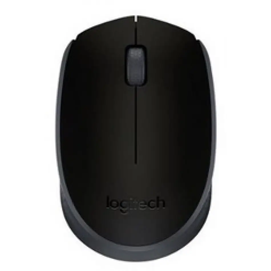 Logıtech M171 Kablosuz Usb Mouse Siyah 910-004424