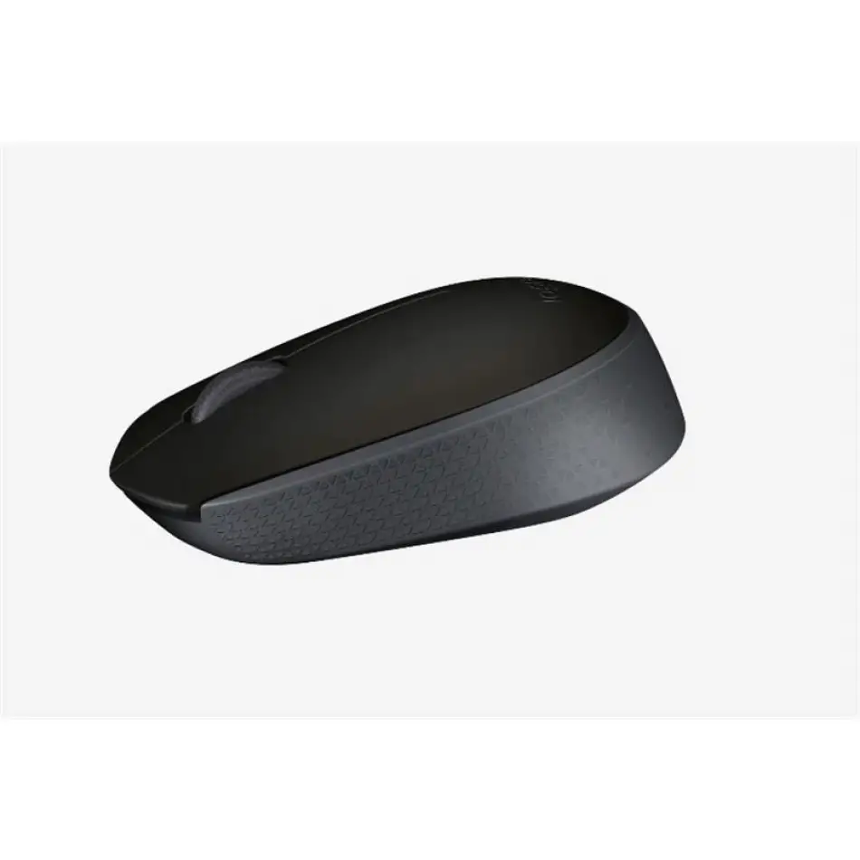 Logıtech M171 Kablosuz Usb Mouse Siyah 910-004424
