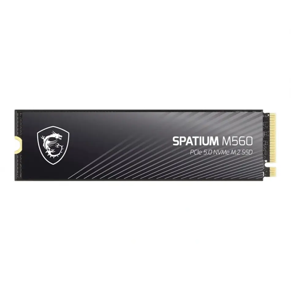 Msı Spatıum M560 Pcıe 5.0 Nvme M2 2tb