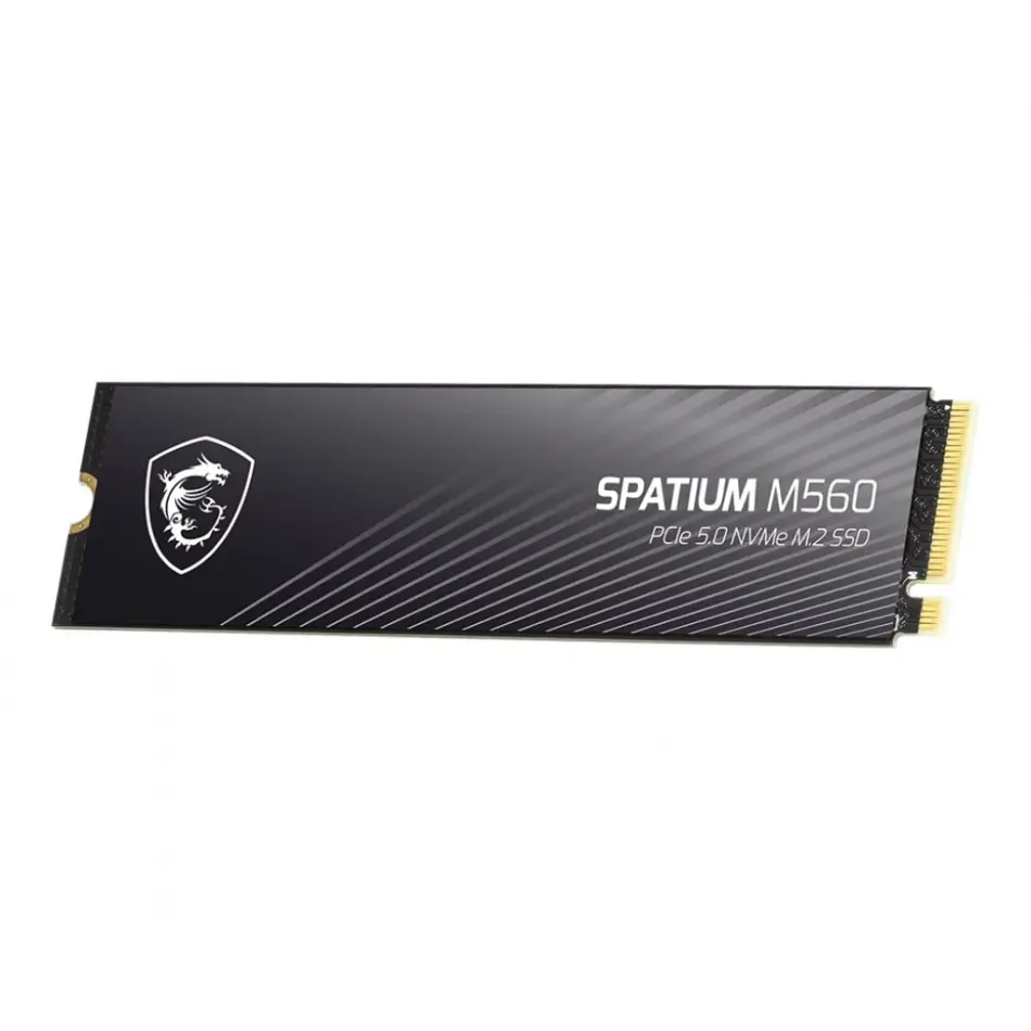 Msı Spatıum M560 Pcıe 5.0 Nvme M2 2tb