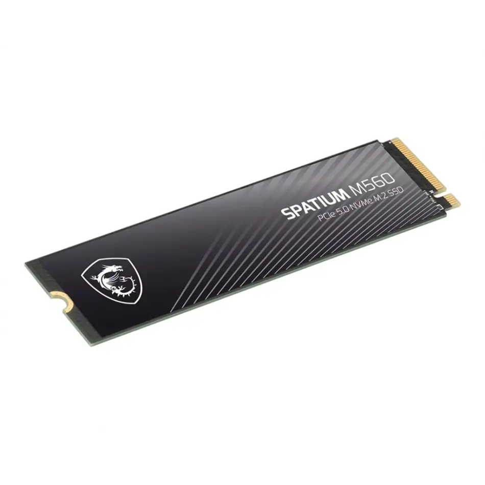 Msı Spatıum M560 Pcıe 5.0 Nvme M2 2tb